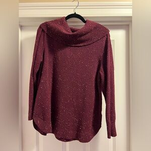 Red Turtle Neck Sweater